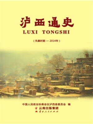 cover image of 泸西通史